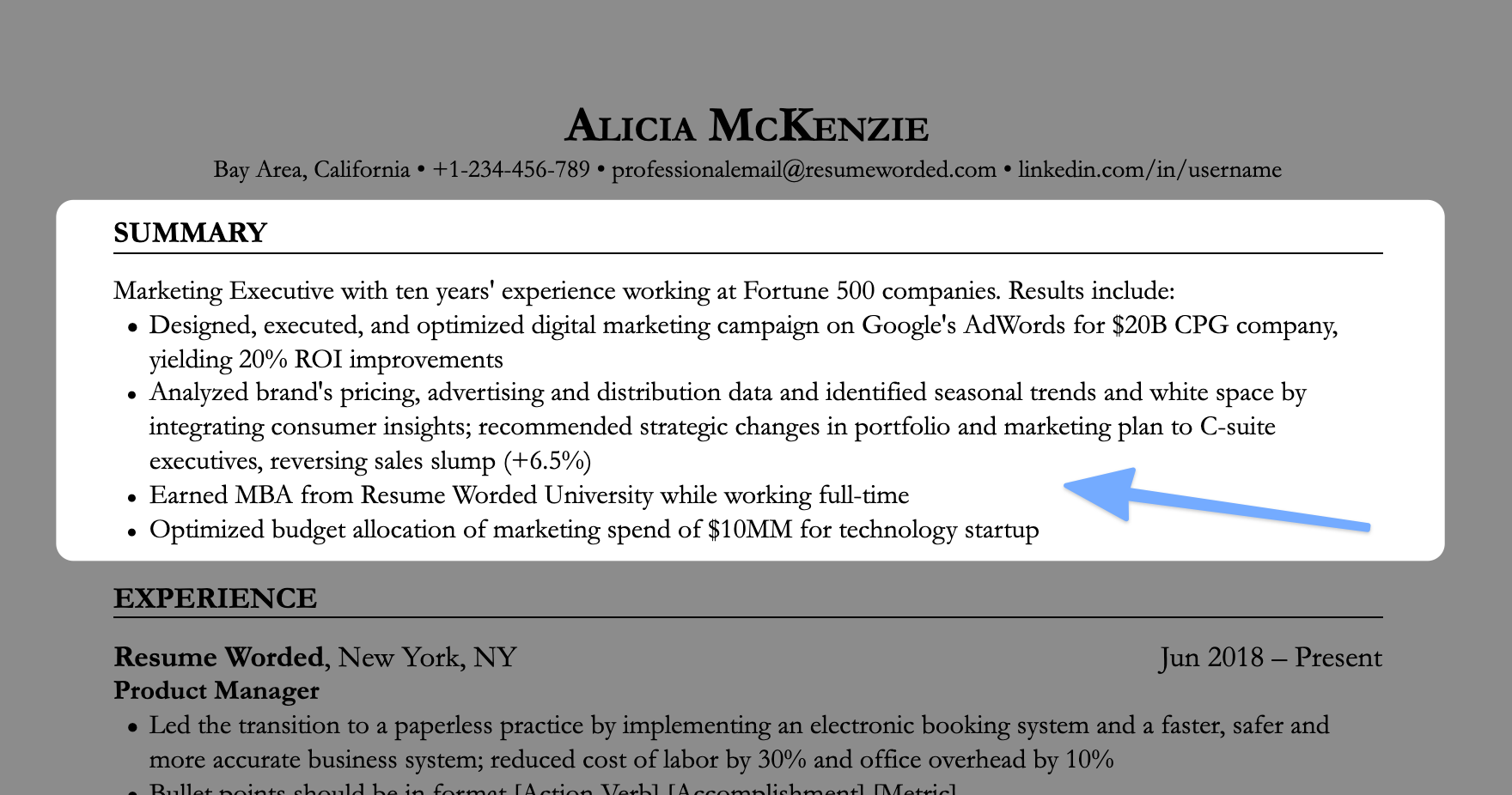 Resume summary example on a marketing executive's resume (screenshot)
