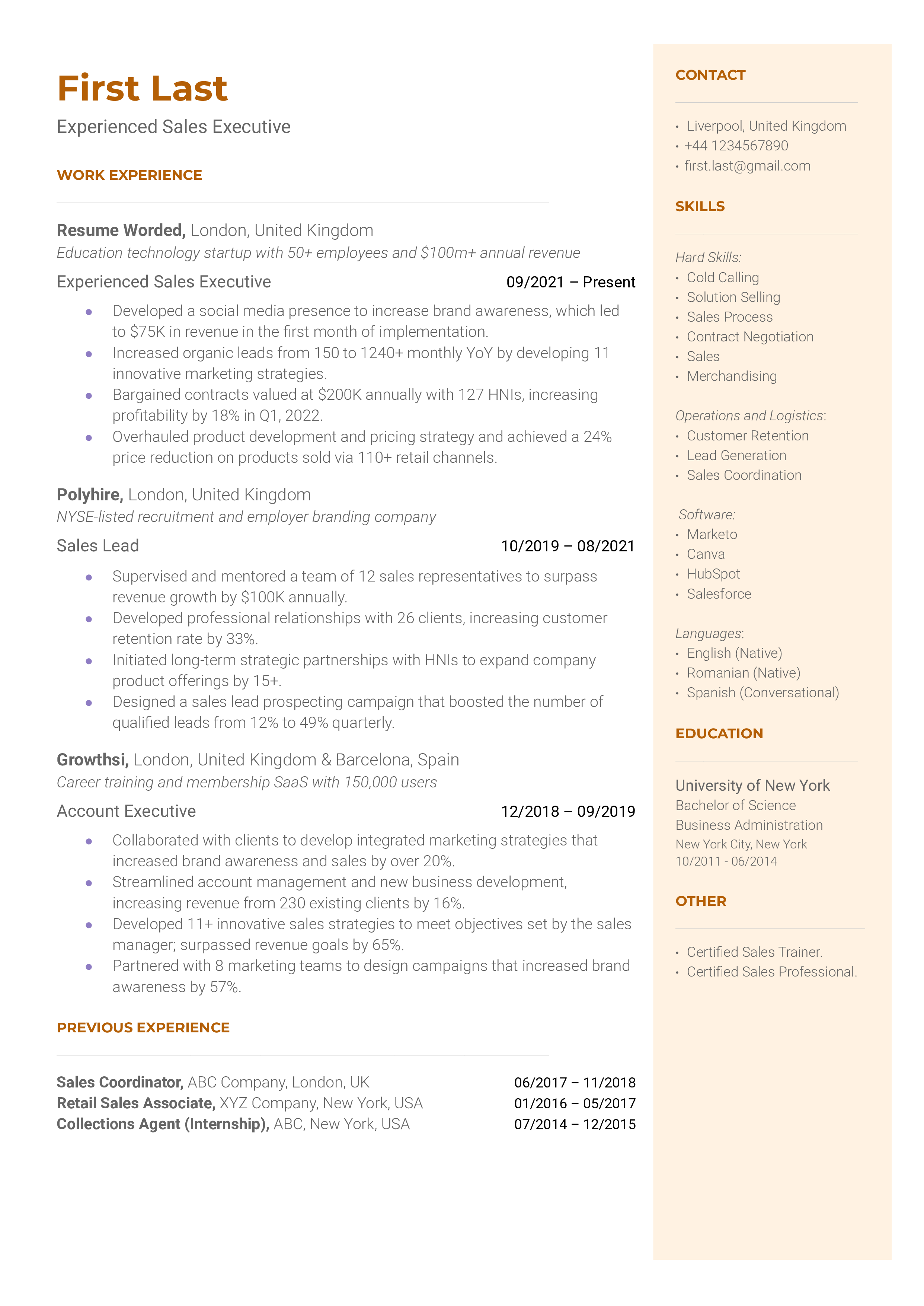 Experienced Sales Executive Resume Sample