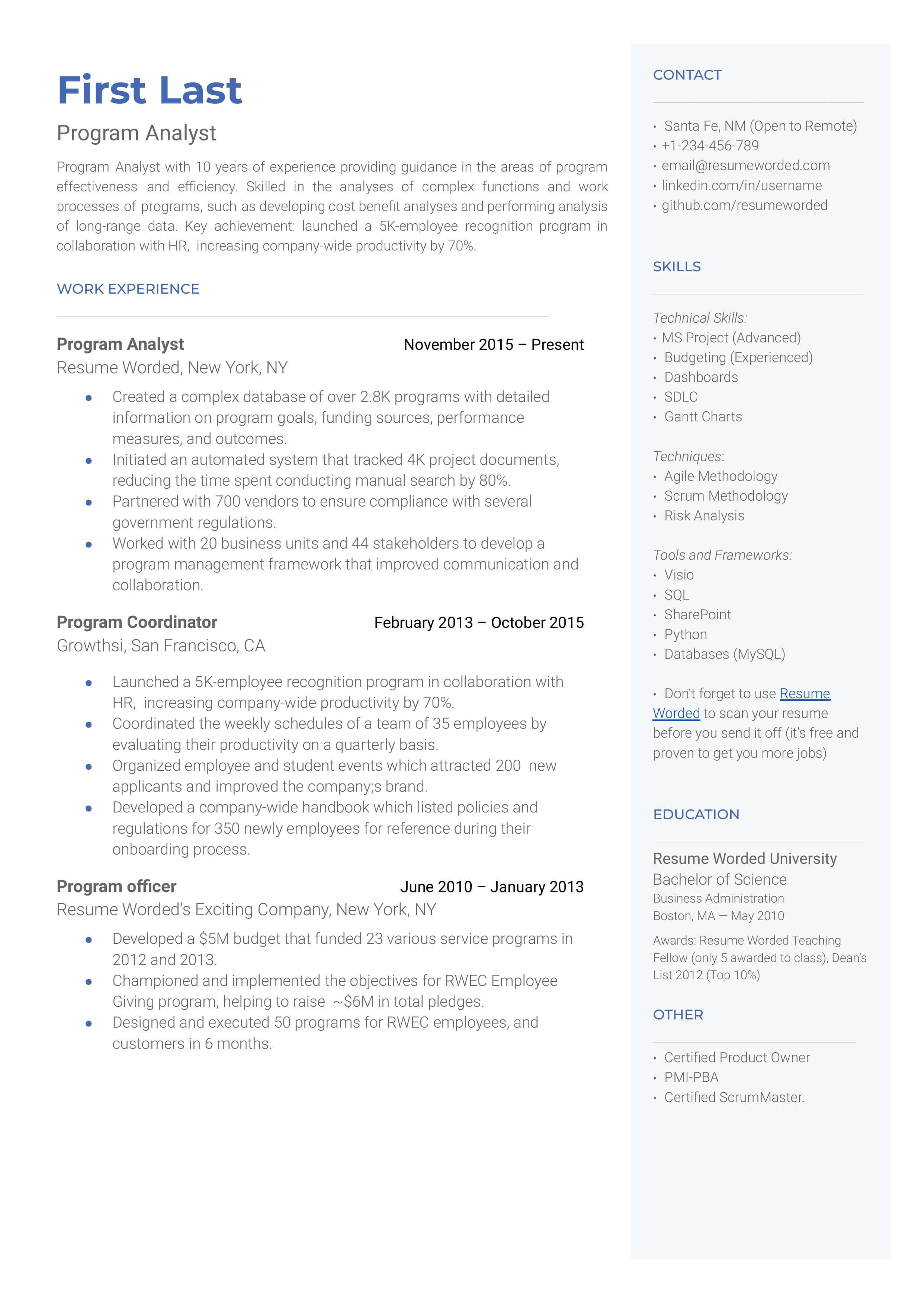 A well-structured CV for a Program Analyst role.