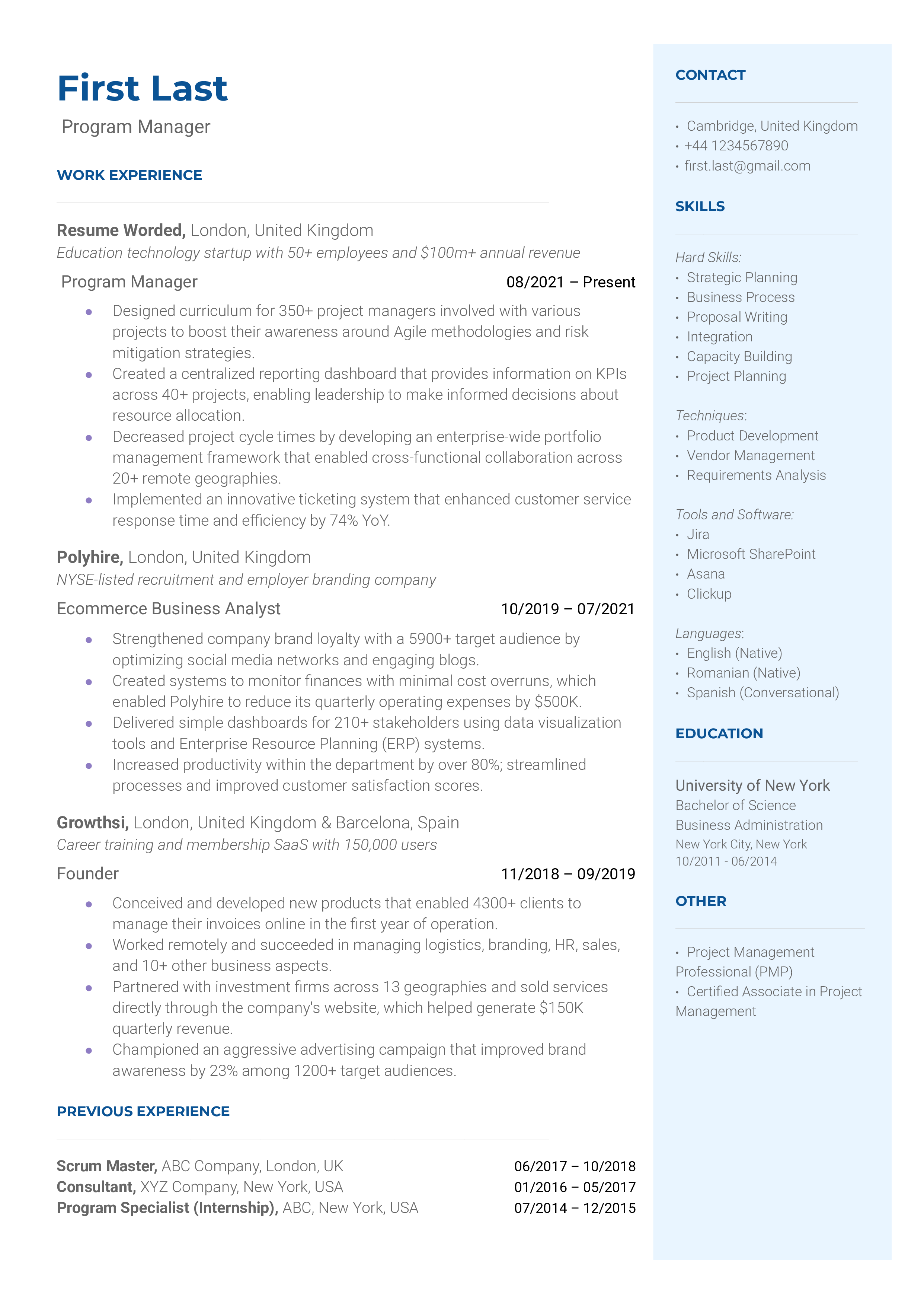 A well-structured CV for a Program Manager showcasing key skills and experiences.
