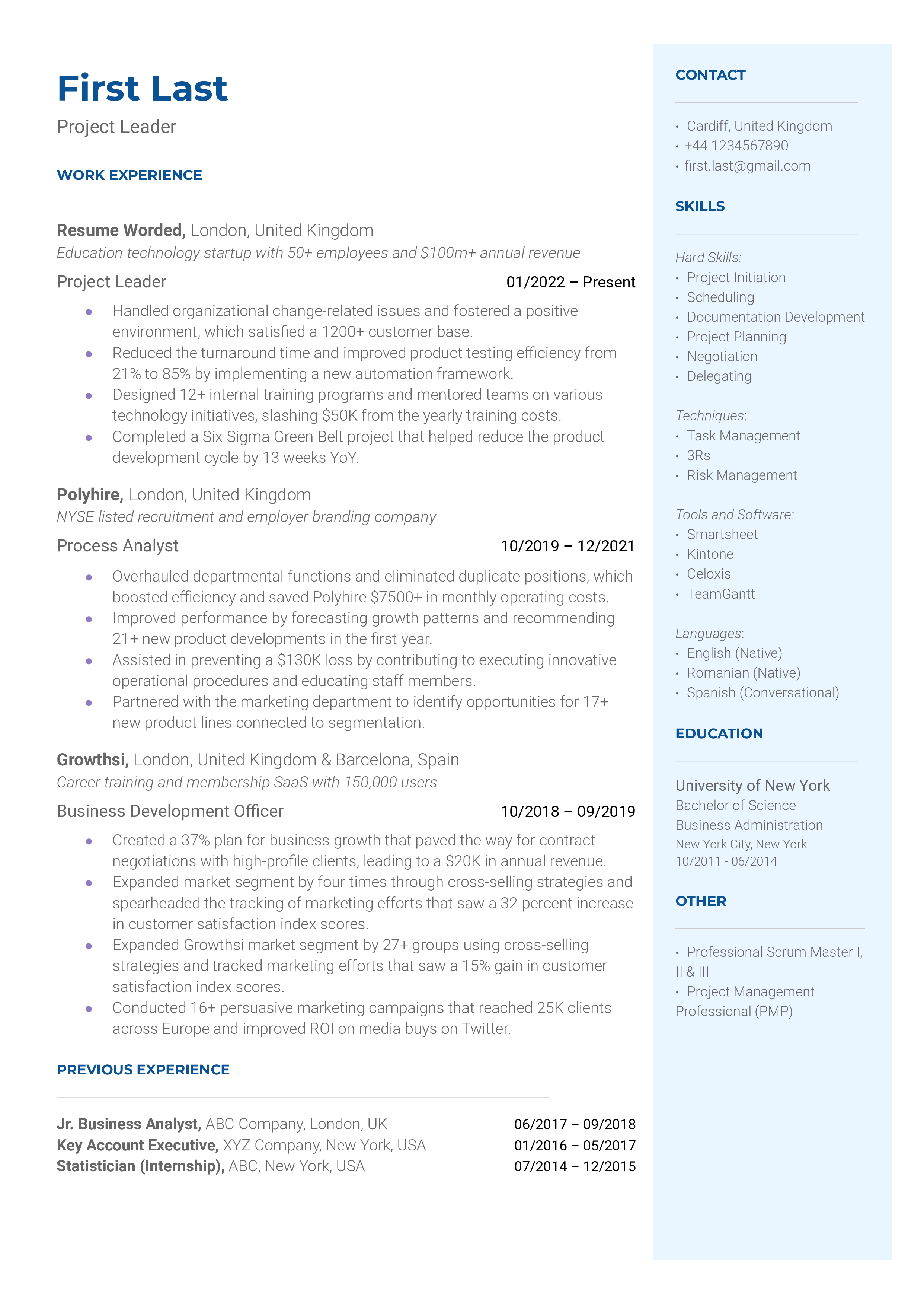 A project leader resume template highlighting technical skills.