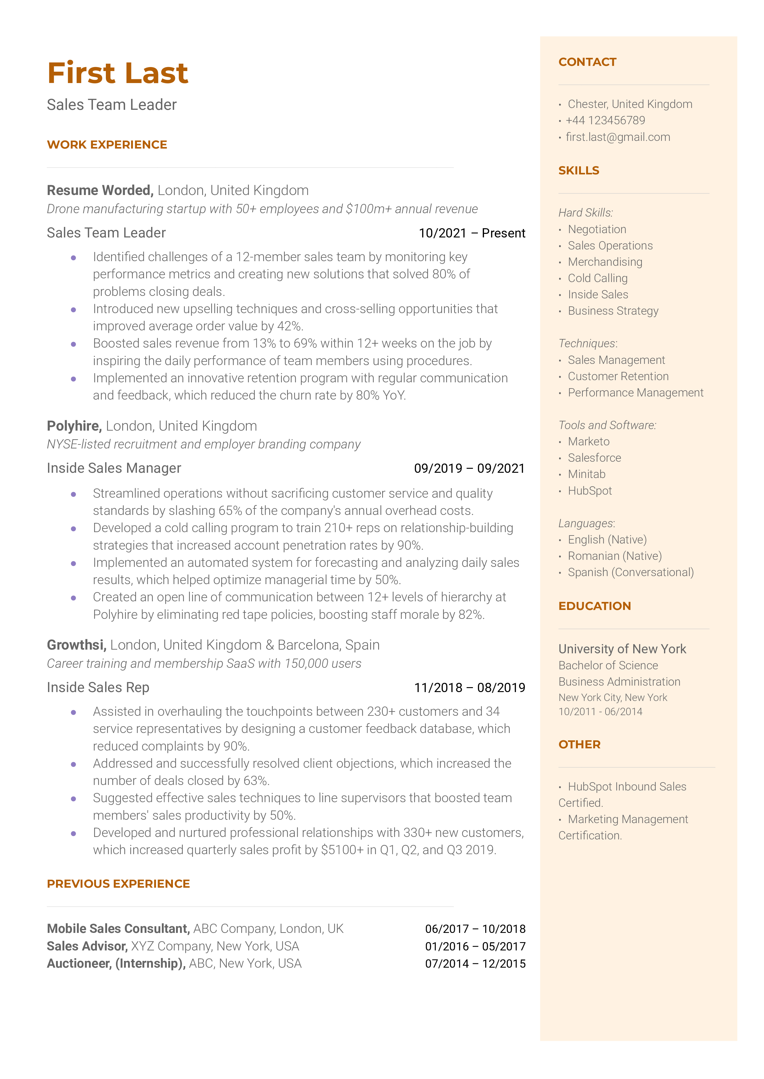 Sales Team Leader Resume Sample