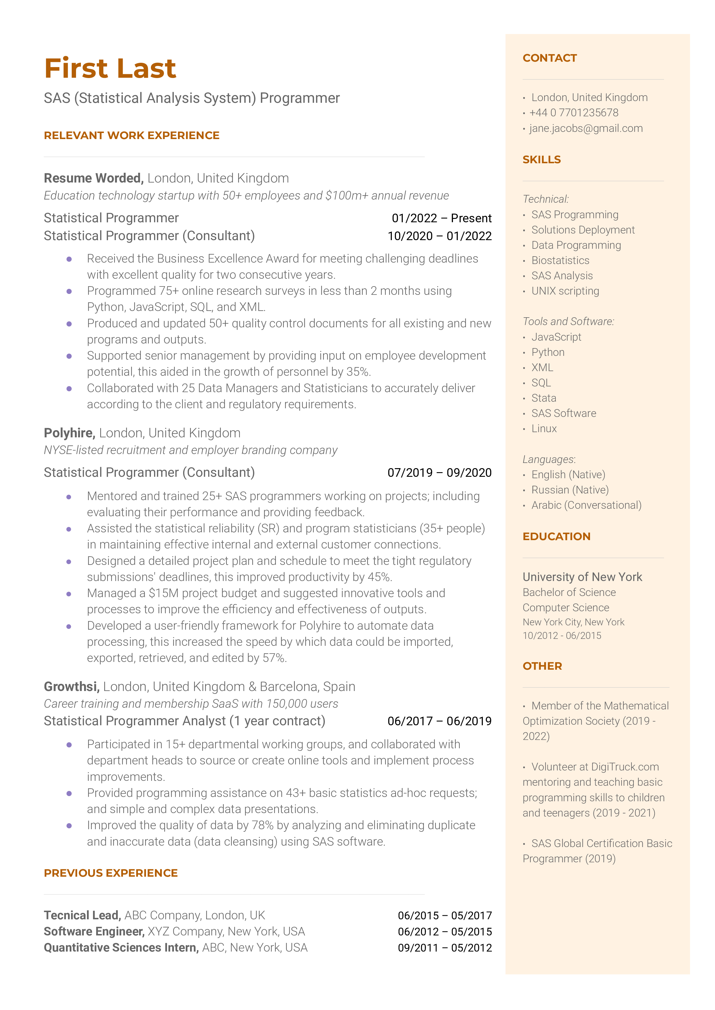 A CV screenshot highlighting skills and experiences of a SAS programmer.