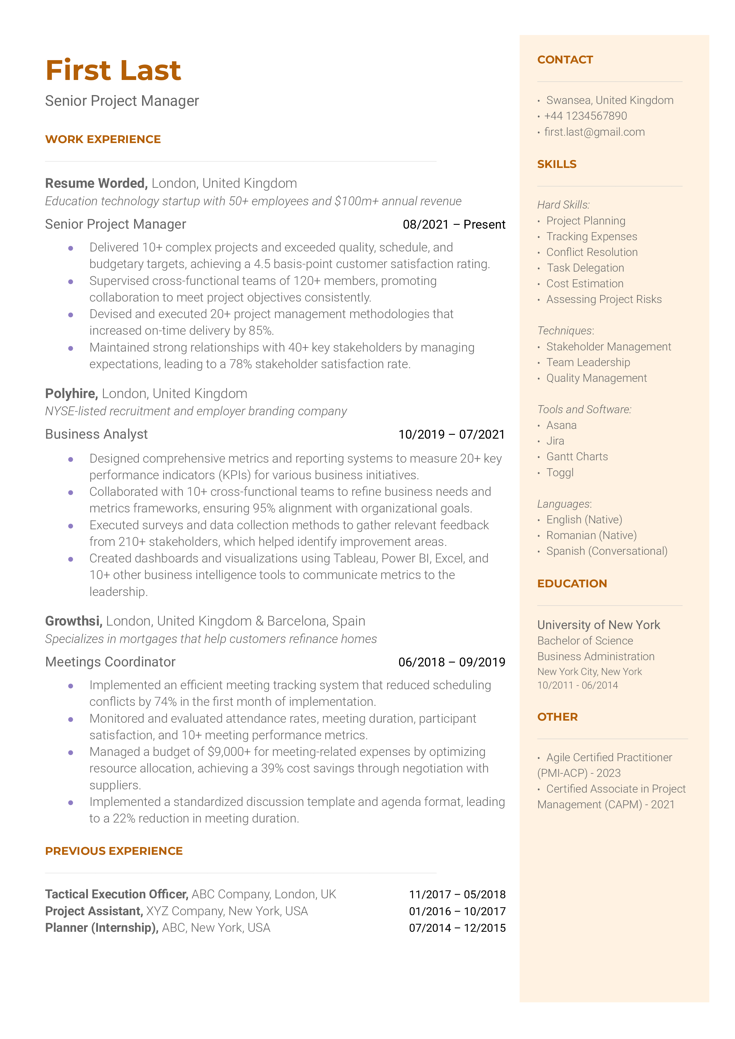 Senior Project Manager Resume Sample