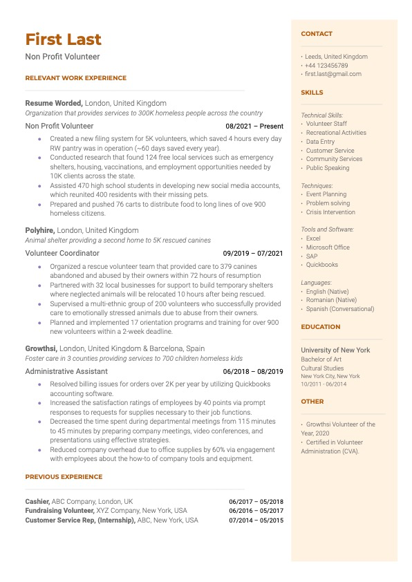 Nonprofit volunteer resume example