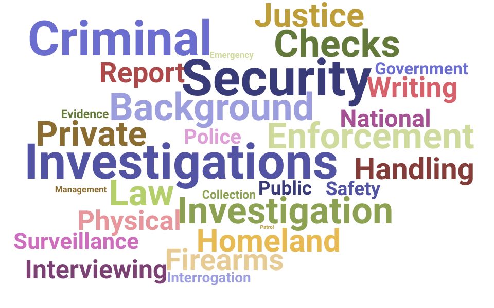 Top Background Investigator Skills and Keywords to Include On Your Resume