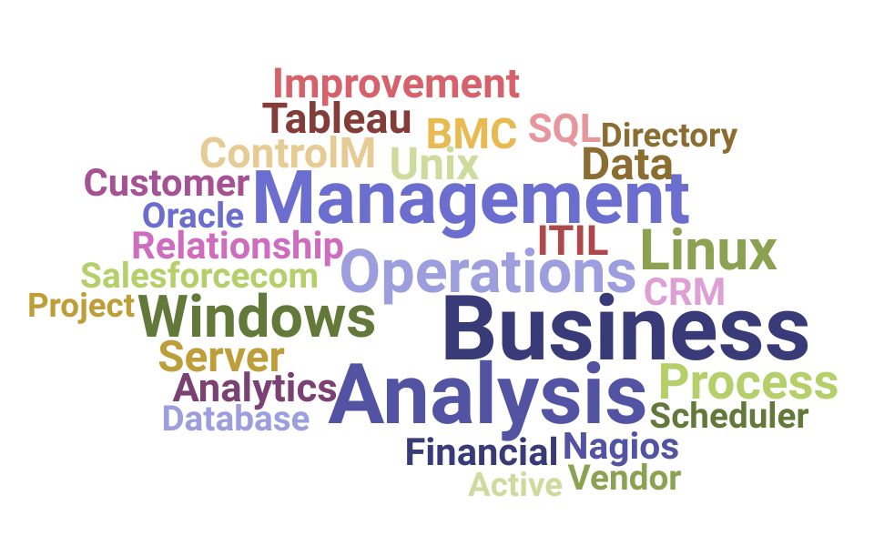 Top Business Operations Analyst Skills and Keywords to Include On Your Resume