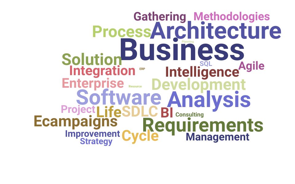 Top Business Solutions Architect Skills and Keywords to Include On Your Resume
