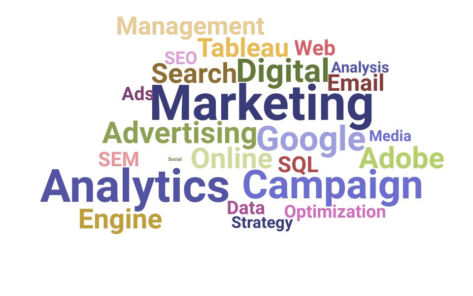 Top Campaign Analyst Skills and Keywords to Include On Your Resume