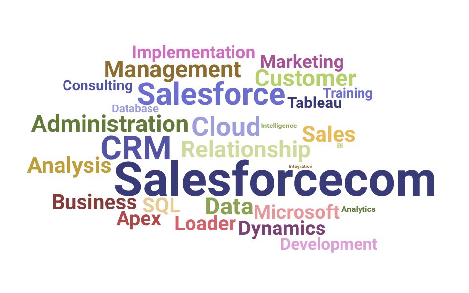 Top Customer Relationship Management Analyst Skills and Keywords to Include On Your Resume