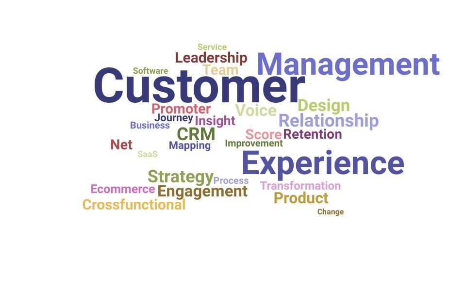 Top Director Customer Experience Skills and Keywords to Include On Your Resume