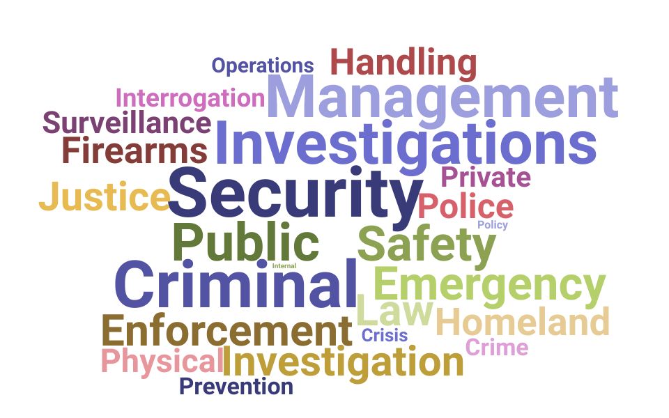 Top Director Of Public Safety Skills and Keywords to Include On Your Resume