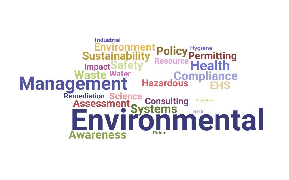 Top Environmental Director Skills and Keywords to Include On Your Resume