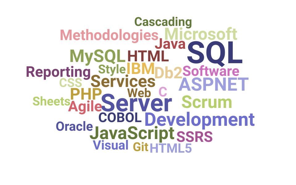 Top Information Technology Developer Skills and Keywords to Include On Your Resume