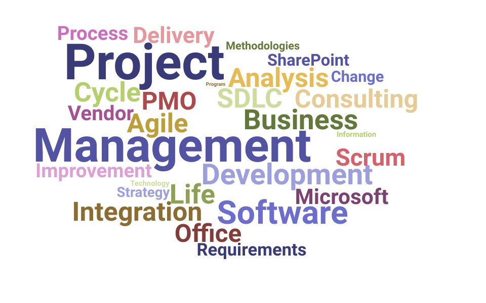 Top Information Technology Project Management Consultant Skills and Keywords to Include On Your Resume