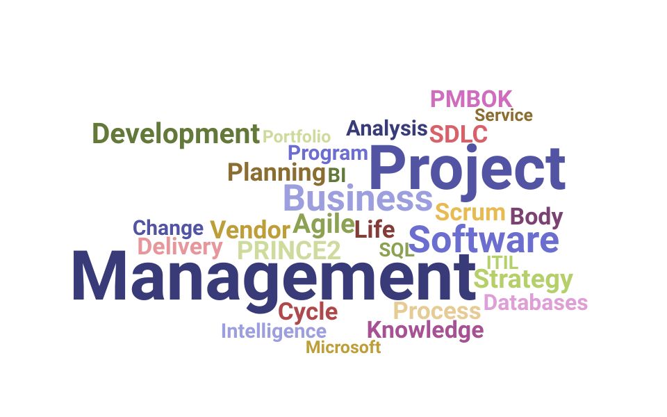 Top Information Technology Project Manager Skills and Keywords to Include On Your Resume