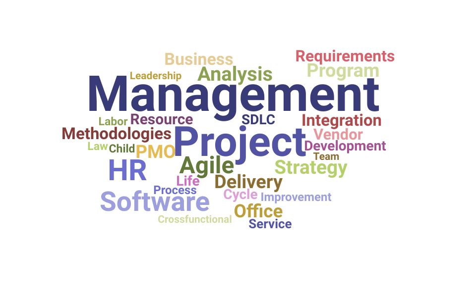 Top Manager Program Management Skills and Keywords to Include On Your Resume