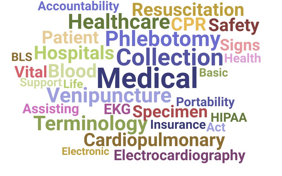 Top Phlebotomist Skills and Keywords to Include On Your Resume