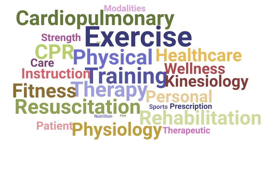 Top Physical Therapy Aide Skills and Keywords to Include On Your Resume