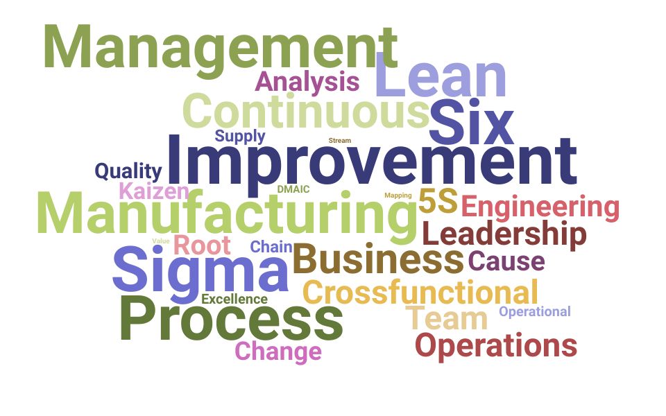 Top Process Improvement Manager Skills and Keywords to Include On Your Resume