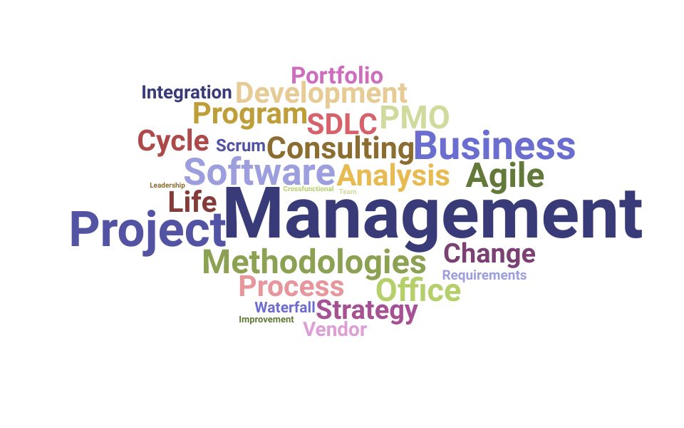 Top Program Management Consultant Skills and Keywords to Include On Your Resume