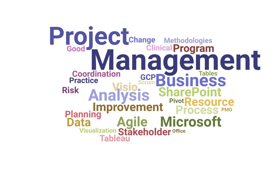 Top Project Management Analyst Skills and Keywords to Include On Your Resume