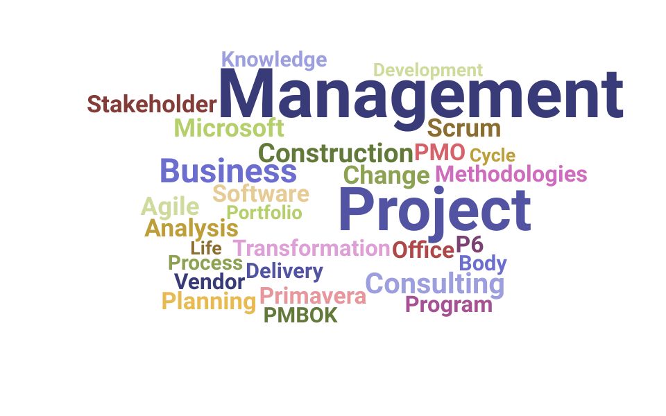 Top Project Management Consultant Skills and Keywords to Include On Your Resume