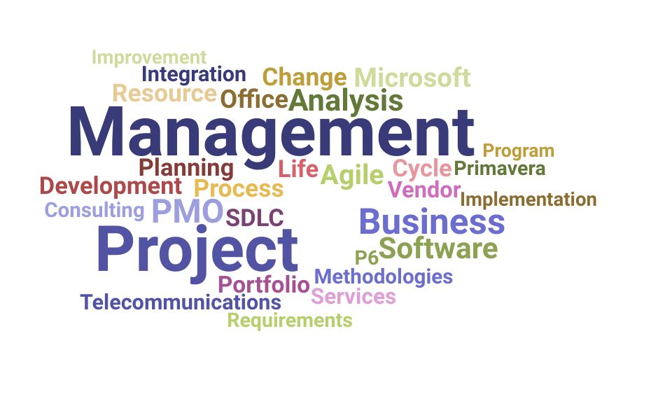 Top Project Management Officer Skills and Keywords to Include On Your Resume
