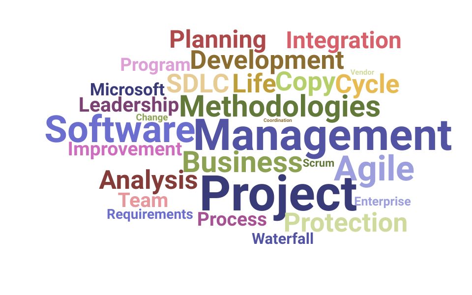 Top Senior Project Manager Skills and Keywords to Include On Your Resume