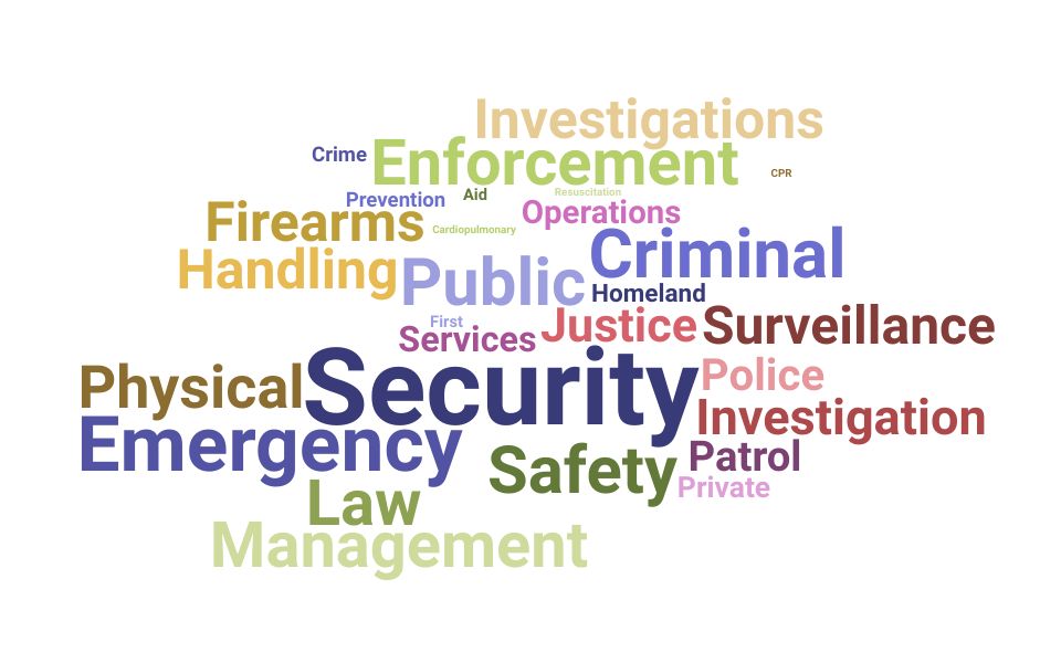 Top Public Safety Officer Skills and Keywords to Include On Your Resume