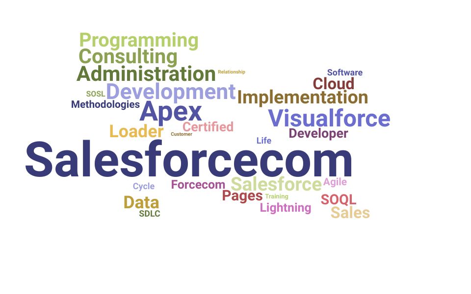 Top Salesforce Consultant Skills and Keywords to Include On Your Resume