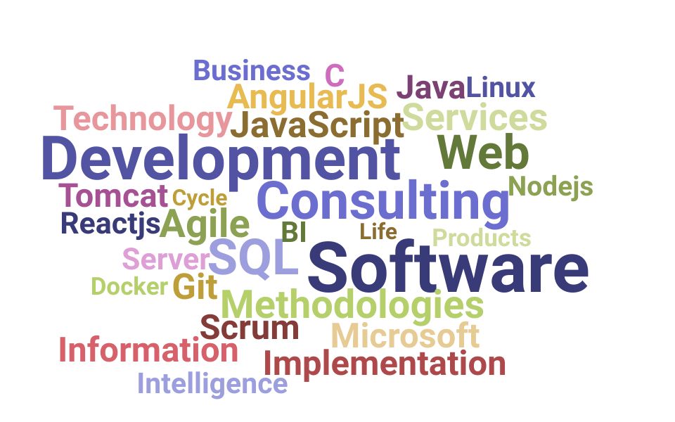 Top Software Consultant Skills and Keywords to Include On Your Resume