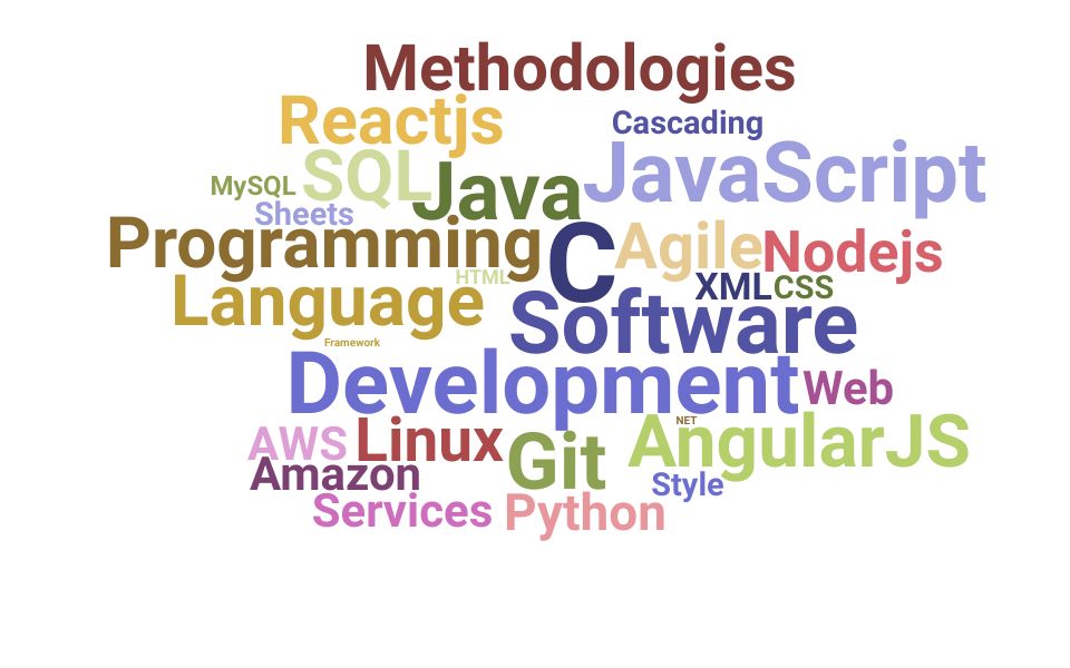 Top Software Developer Skills and Keywords to Include On Your CV