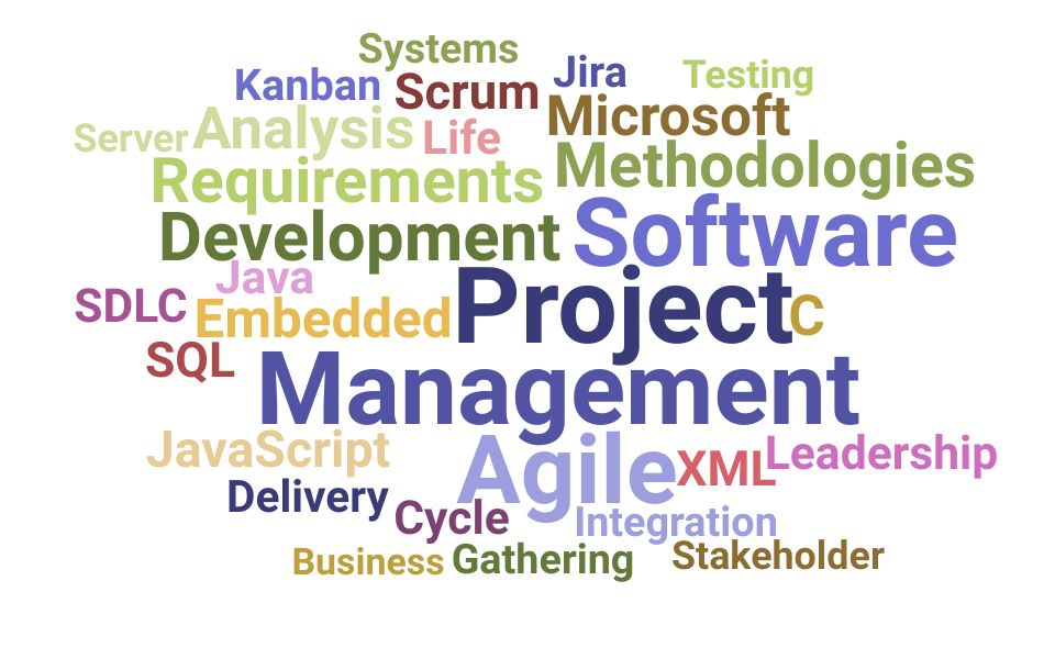 Top Software Project Manager Skills and Keywords to Include On Your Resume