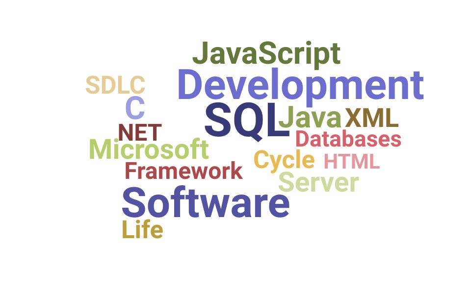 Top C  Net Developer Skills and Keywords to Include On Your Resume