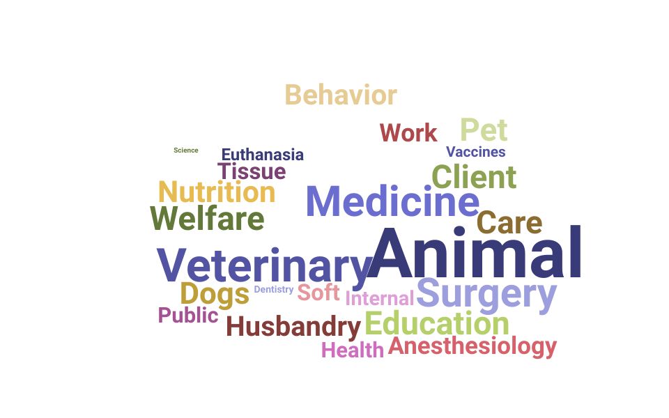 Top Veterinarian Skills and Keywords to Include On Your Resume
