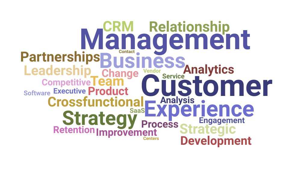 Top Vice President Customer Experience Skills and Keywords to Include On Your Resume