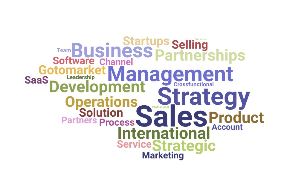 Top Vice President Of Global Sales Skills and Keywords to Include On Your Resume