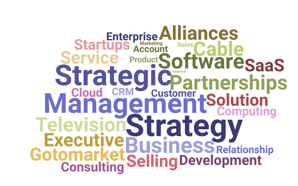 Top Vice President Of Strategic Alliances Skills and Keywords to Include On Your Resume