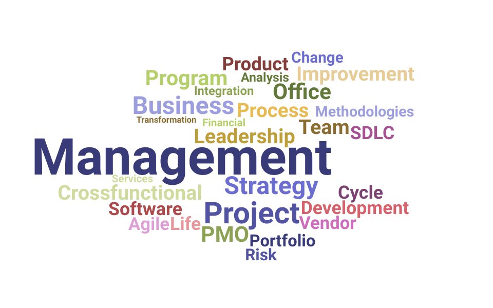 Top Vice President Program Management Skills and Keywords to Include On Your Resume